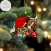 Basset Hound Sleeping In Hat Two Sides Ornament