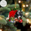 Boston Terrier Sleeping In Hat Two Sides Ornament