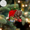 Dachshund Sleeping In Hat Two Sides Ornament