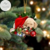 Labrador Retriever Sleeping In Hat Two Sides Ornament