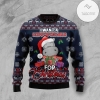 New 2021 I Want A Hippopotamus Ugly Christmas Sweater