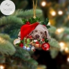 Weimaraner Sleeping In Hat Two Sides Ornament