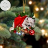 West Highland White Terrier Sleeping In Hat Two Sides Ornament