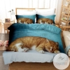 3d Cute Cat Bedding Set Bedding Sets Duvet Cover Bedroom Decor 2022