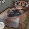 Shortcut Siamese Cat Animal 091 Bedding Set 2022