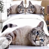 Tabby Cat Animal 073 Bedding Set 2022