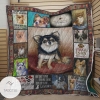 Chihuahua Most Dogs Have Owners Chihuahuas Have Staff Quilt Blanket