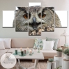 Great Horned Owl Five Panel Canvas 5 Piece Wall Art Set