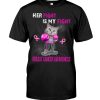 Her Fight Is My Fight Cute Cat Boxing - Breast Cancer Awareness Shirt