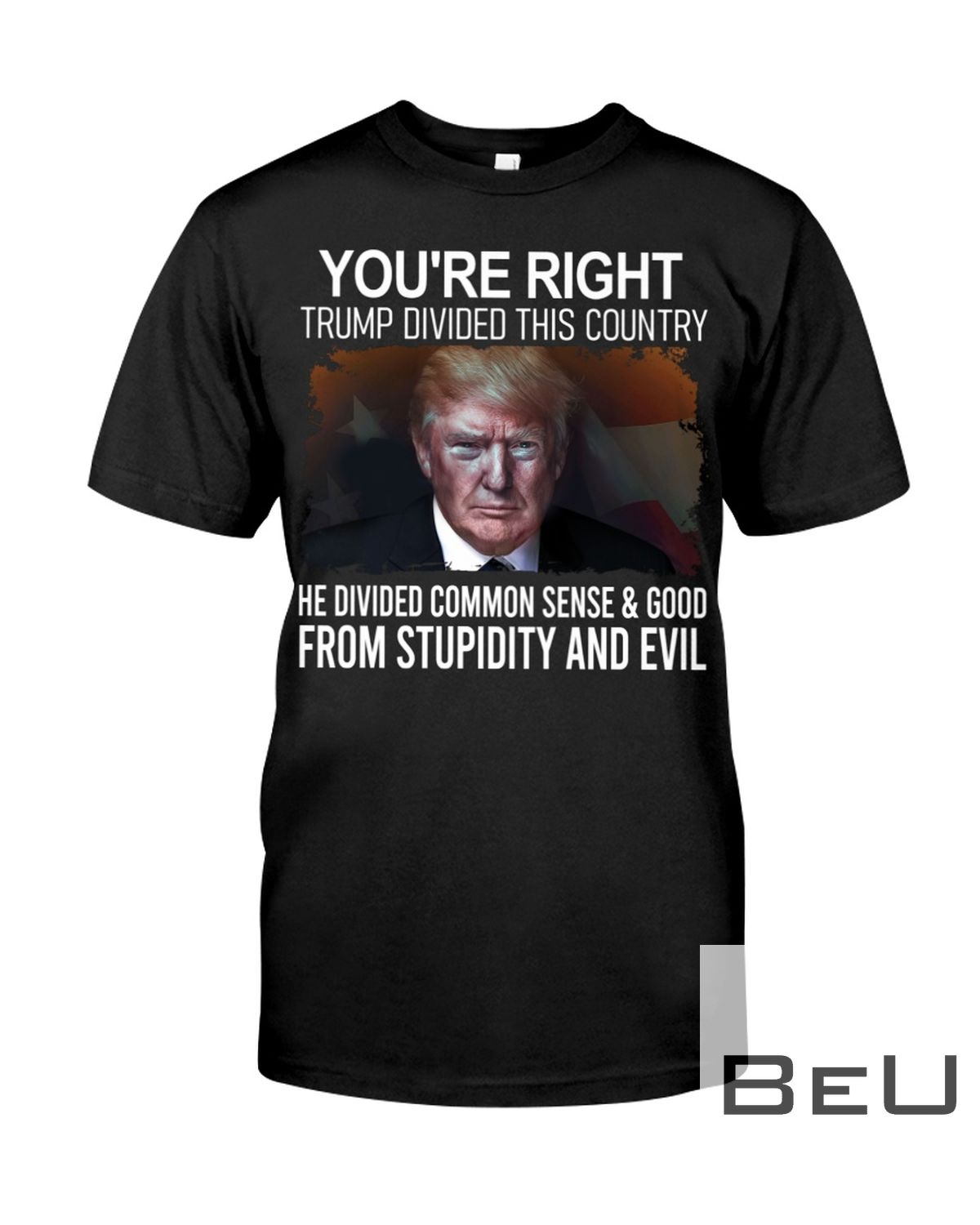 You're Right Trump Divided This Country He Divided Common Sense And Good From Stupidity And Evil Shirt