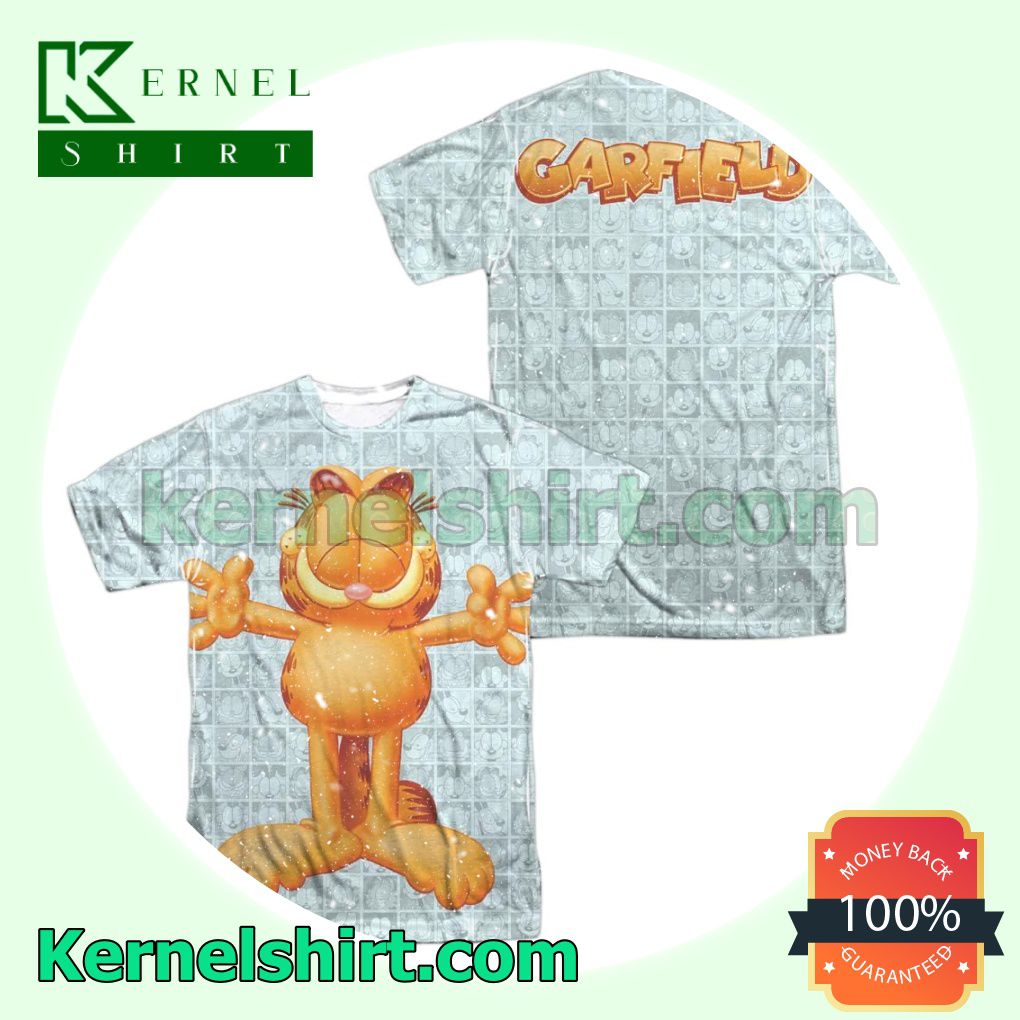 Garfield Free Hugs Birthday Shirts